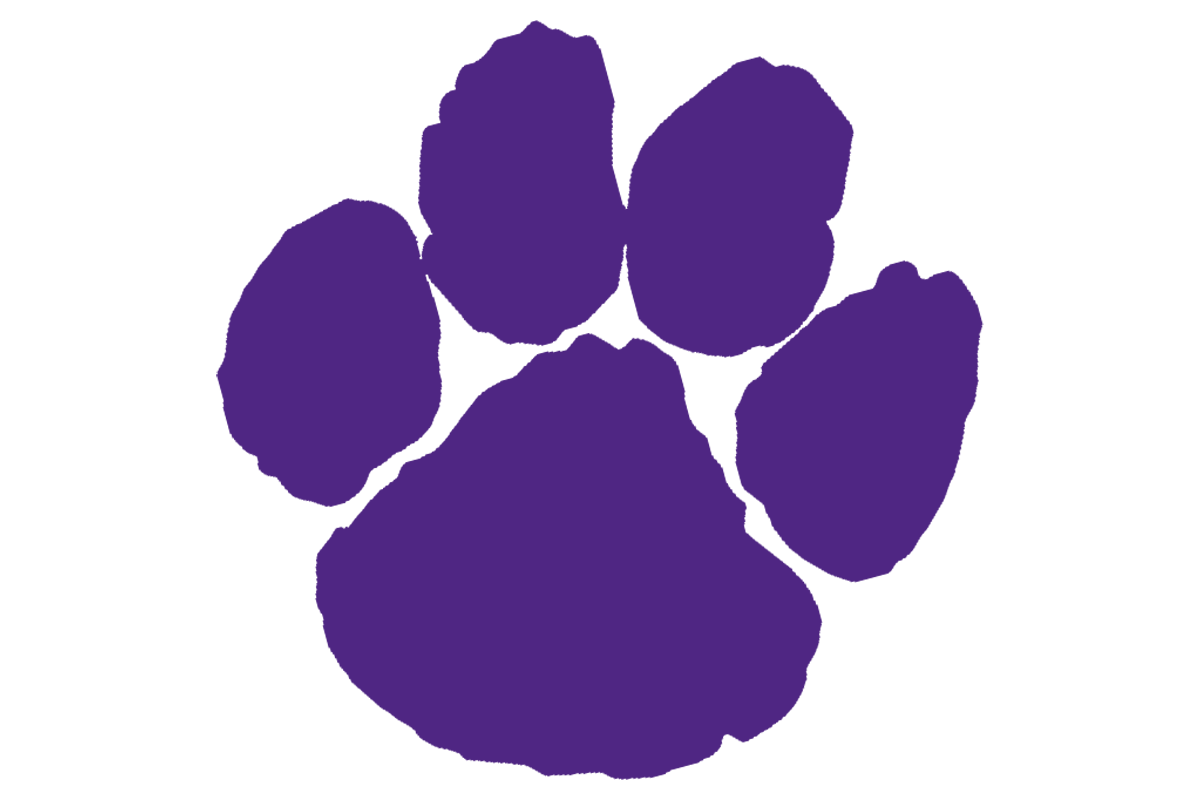 Paschal Baseball logo